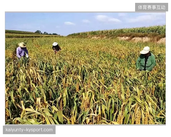 梅州客家连续突破迫使对方持续退守，展现豪情与实力